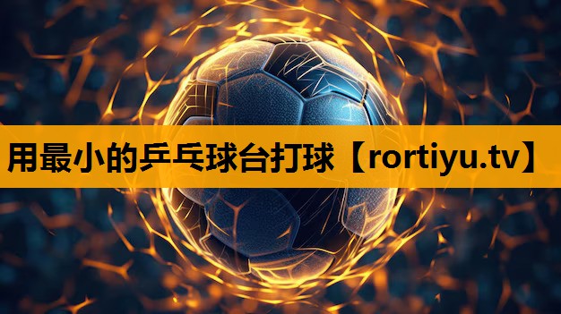 用最小的乒乓球台打球